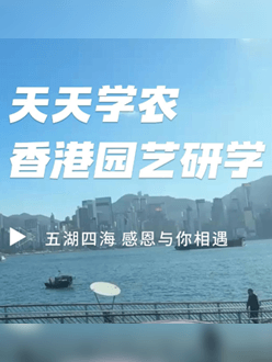与香港园艺学会联合举办香港园艺研学，专业园境师带队讲解。